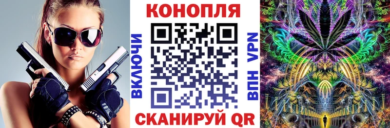 Шишки марихуана индика  Купить где  Оса 